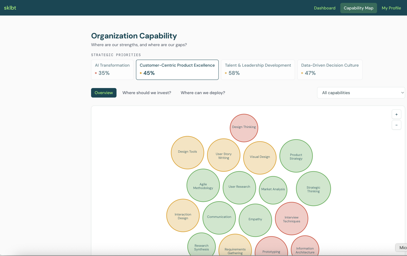 Organization Capability Map screen